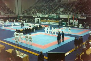 1992 world champs Team fight